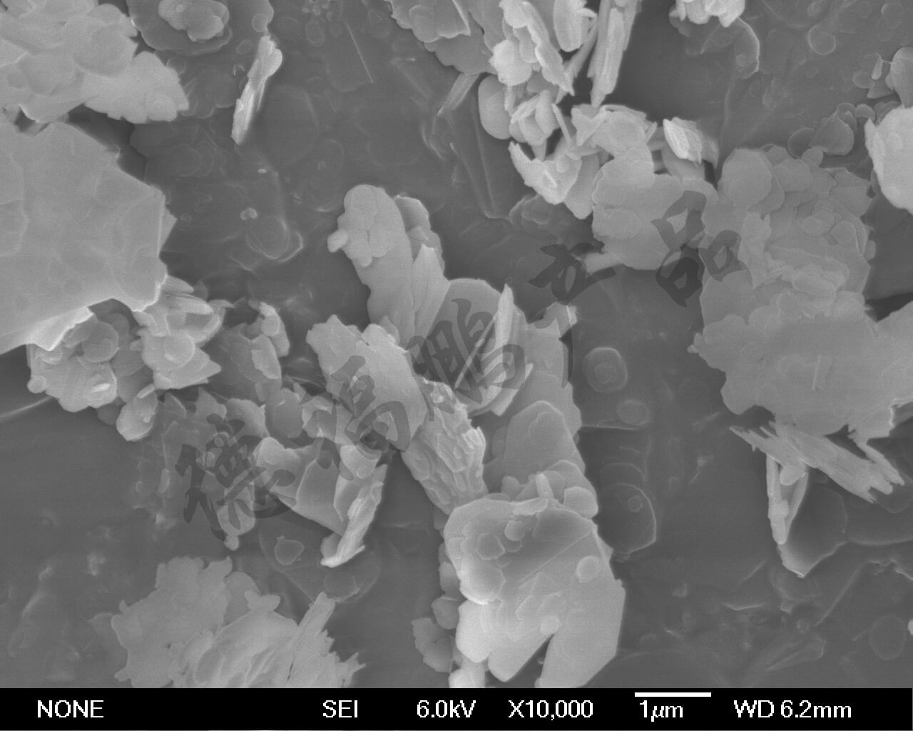 HBN（PBN200）(图4)